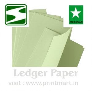 Ledger Paper SATIA 080 43.0x69.0 LightGreen Matt